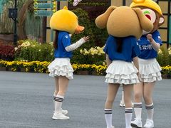 -荷兰花海