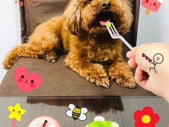-好利来(七宝领展广场店)
