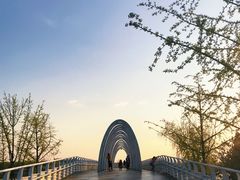 -大兴滨河森林公园