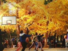 -辽东学院(南校区)