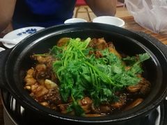 土鸡煲-兵哥活鸡鱼馆(仙乐花园店)
