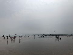 -南汇嘴观海公园