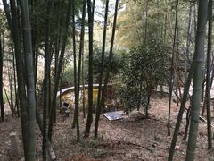-江南天池高山汤泉城