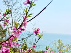 -燕窝岭