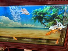 -汤泉良子.足疗按摩.SPA(中关村店)