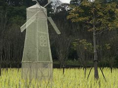 -飞凤山奥体公园