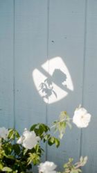 -时尚妈咪产后修复中心