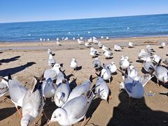 -青海湖二郎剑景区