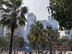 -深圳人才公园