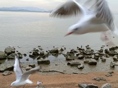 -深圳湾公园(南山区)