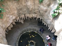 -南山植物园