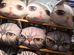 -猫咪博物馆(顶澳仔猫街店)