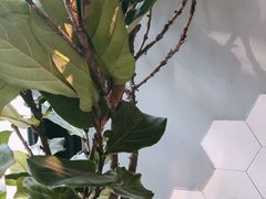 -Maxpoint Kitchen 西餐咖啡(乐峰广场店)