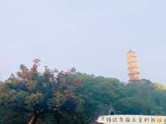 -江心屿景区