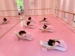 -桃子公主舞蹈培训(万柳校区)