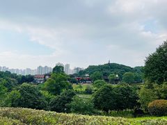 -桃花岭景区