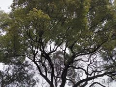 -上海鲁迅故居