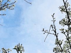 -国际非物质文化遗产博览园
