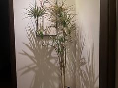 -谧境·爱SPA(春熙路店)