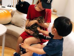 -啵啵喵·猫咖(攀华国际店)