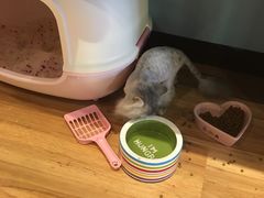 -藦茜花园宠物主题亲子互动体验馆(国顺东路店)