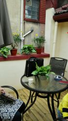 点击看大图 -素颜秀·纹眉·野生眉·纹唇半永久