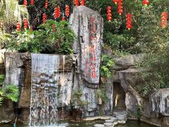 -广州市流溪河国家森林公园