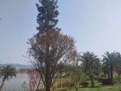 -枫香湖儿童公园