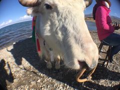 -青海湖国家重点风景名胜区