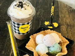 -莓园冰淇淋店