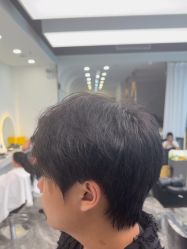 -YESIDO椰岛造型