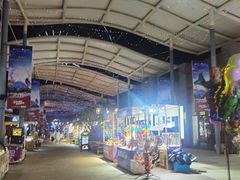 -三亚海昌梦幻海洋不夜城