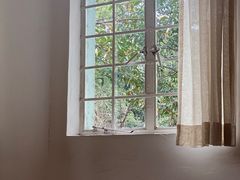 -MAISON门前杂货店