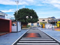 -巨鹏飞梦幻海岸