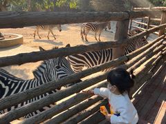 -泉州海丝野生动物世界