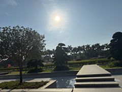 -顺峰山公园