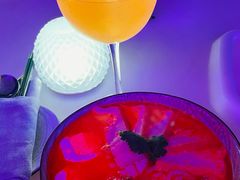 -SPARK(成都W酒店)