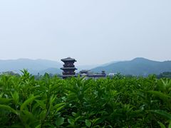 -晋祠公园