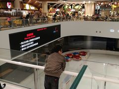-TheRink大零溜冰场(IFS国金中心店)