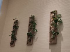-幸福蔬·时尚蔬食(黄山湖公园店)