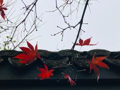 -慧因高丽寺