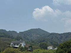 -龙井村