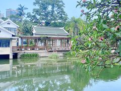 -中山公园