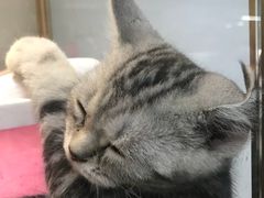 -乐宠宠物店(世纪金源店)