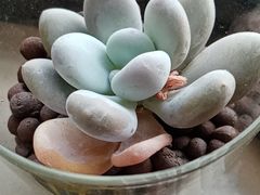 -栖巢咖啡(天鹅湖万达低碳店)