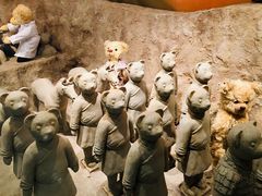 -济州岛泰迪熊博物馆