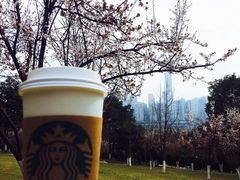 -重庆市江北嘴中央商务区中央公园