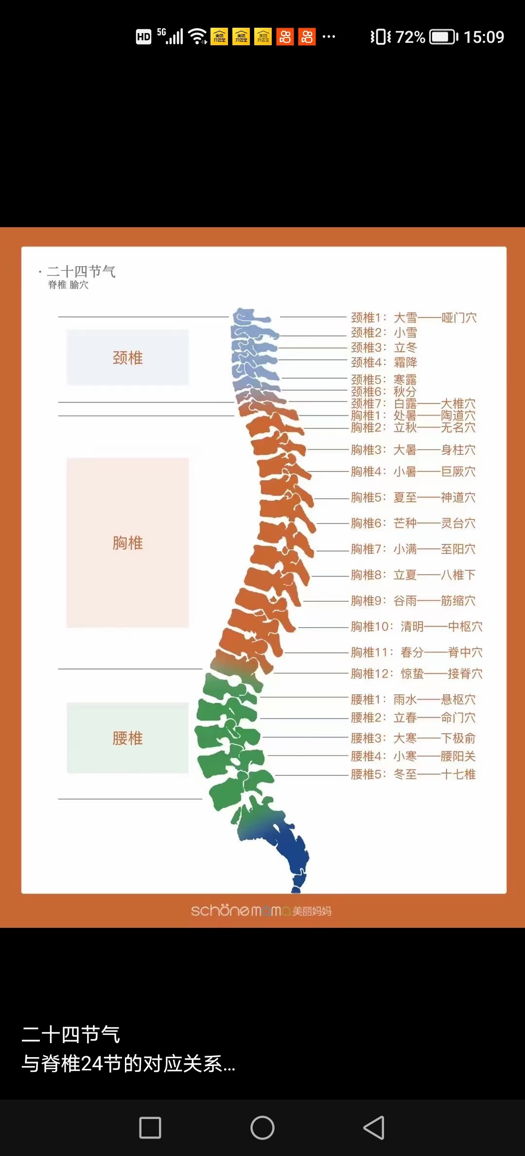 骨重对照图片