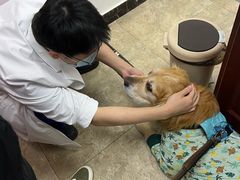 -美联众合动物医院·24h转诊中心
