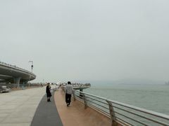 -演武大桥观景平台